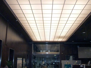 ceilings-in-the-office-019