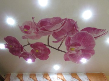 30-303 Орхидея 7 кв метров (1)